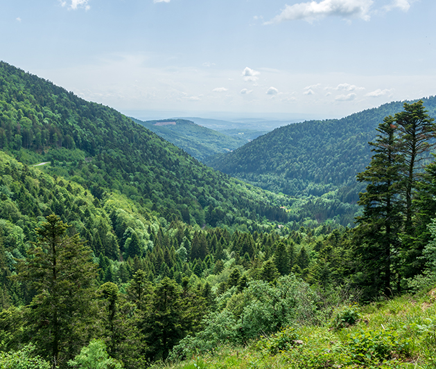 paysagesdes Vosges